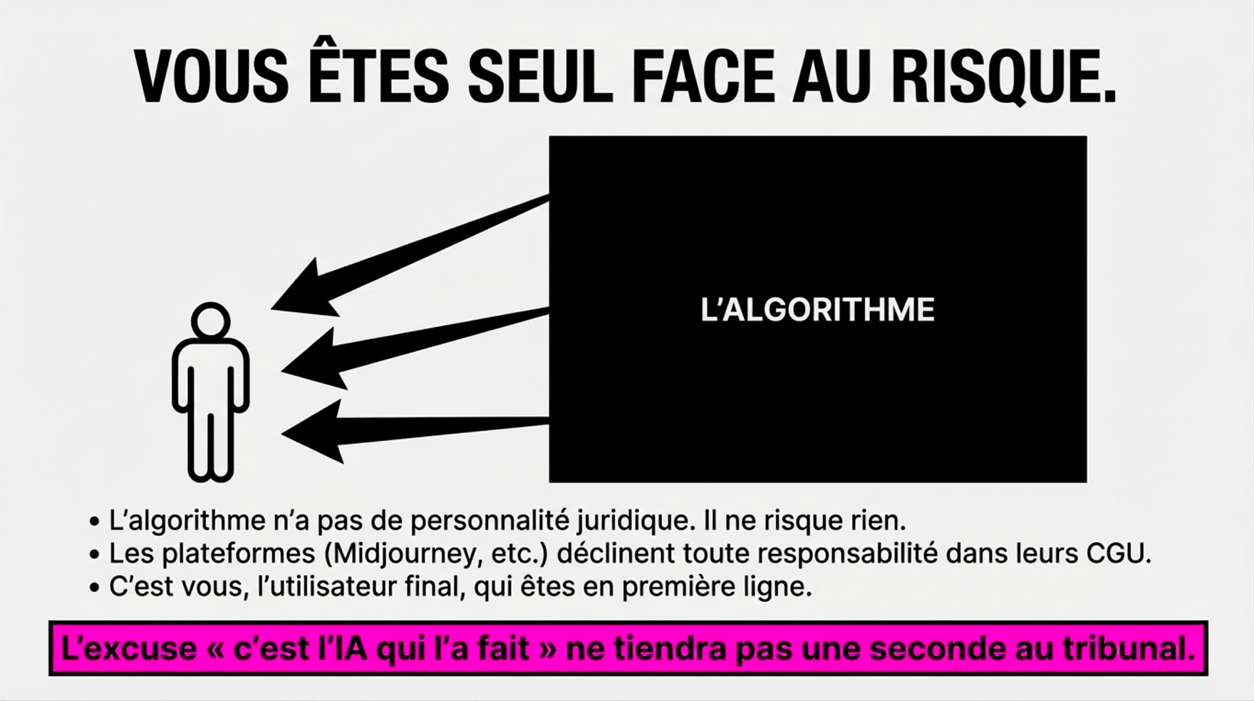 Vous êtes seul face au risque. Schéma montrant l'utilisateur ciblé par des flèches noires, seul face à un bloc noir "Algorithme".